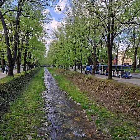 Boskovic *